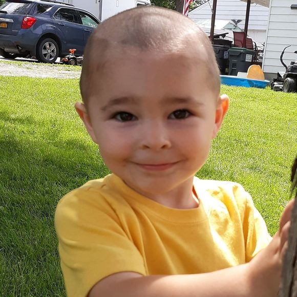 Meet your Posher, Ginger - Picture 1 of 1